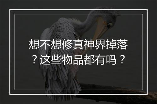 想不想修真神界掉落？这些物品都有吗？