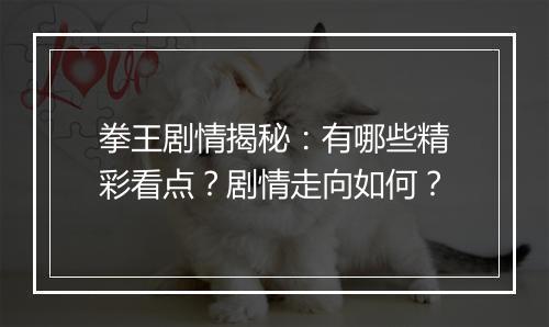 拳王剧情揭秘:有哪些精彩看点?剧情走向如何?