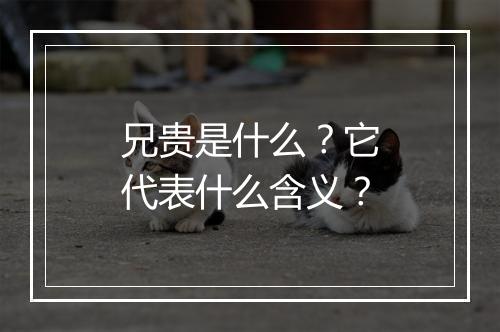 兄贵是什么？它代表什么含义？