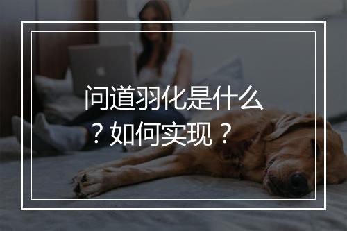 问道羽化是什么？如何实现？