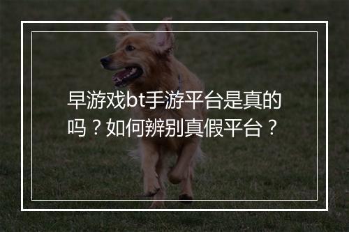 早游戏bt手游平台是真的吗？如何辨别真假平台？