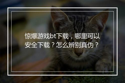 惊爆游戏bt下载，哪里可以安全下载？怎么辨别真伪？