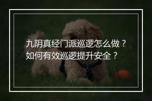 九阴真经门派巡逻怎么做？如何有效巡逻提升安全？