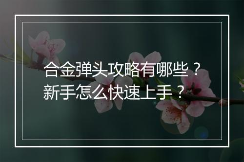 合金弹头攻略有哪些?新手怎么快速上手?