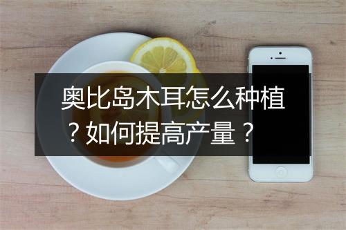 奥比岛木耳怎么种植？如何提高产量？