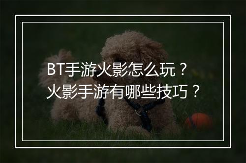 BT手游火影怎么玩？火影手游有哪些技巧？