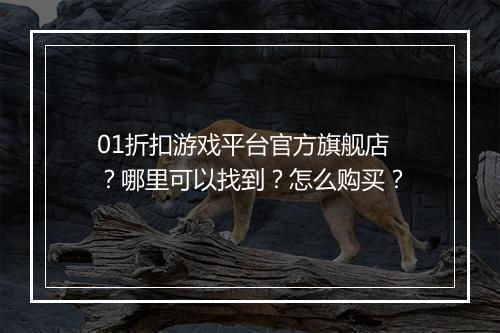 01折扣游戏平台官方旗舰店?哪里可以找到?怎么购买?