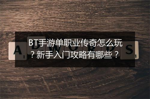 BT手游单职业传奇怎么玩？新手入门攻略有哪些？