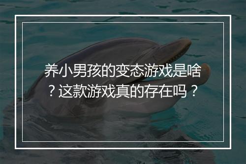 养小男孩的变态游戏是啥?这款游戏真的存在吗?