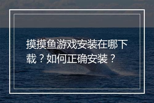 摸摸鱼游戏安装在哪下载？如何正确安装？
