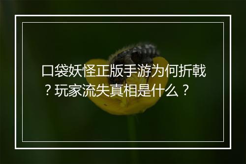 口袋妖怪正版手游为何折戟?玩家流失真相是什么?
