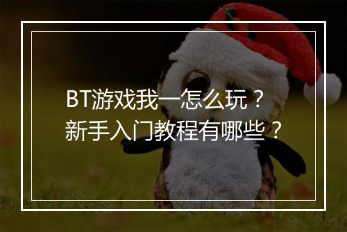 BT游戏我一怎么玩？新手入门教程有哪些？