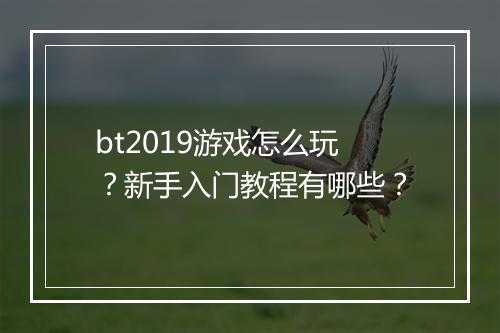 bt2019游戏怎么玩?新手入门教程有哪些?