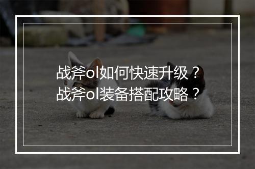 战斧ol如何快速升级?战斧ol装备搭配攻略?