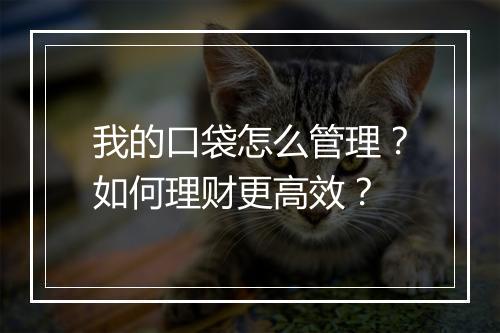 我的口袋怎么管理?如何理财更高效?