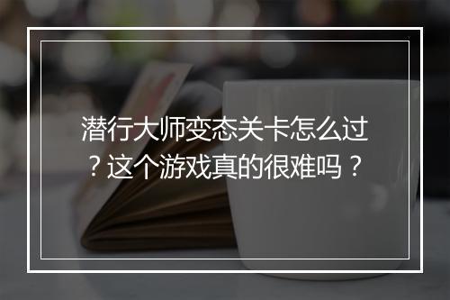 潜行大师变态关卡怎么过？这个游戏真的很难吗？