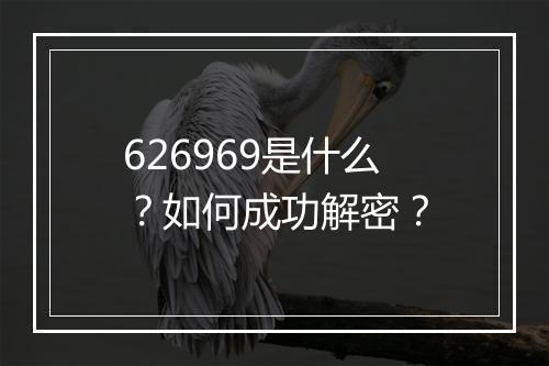 626969是什么？如何成功解密？