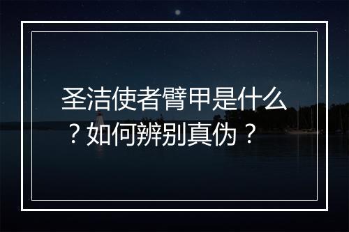 圣洁使者臂甲是什么?如何辨别真伪?
