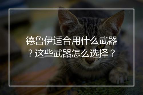 德鲁伊适合用什么武器？这些武器怎么选择？