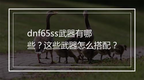 dnf65ss武器有哪些？这些武器怎么搭配？