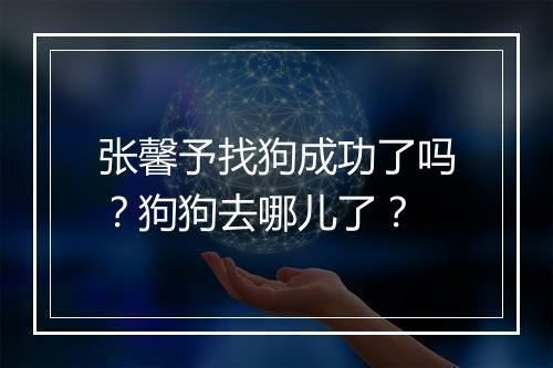 张馨予找狗成功了吗？狗狗去哪儿了？