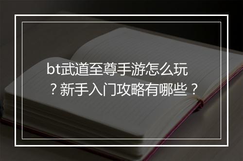 bt武道至尊手游怎么玩?新手入门攻略有哪些?