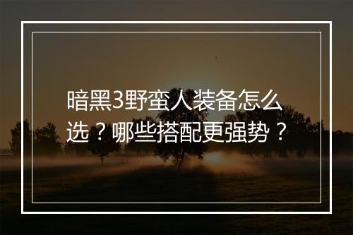 暗黑3野蛮人装备怎么选？哪些搭配更强势？