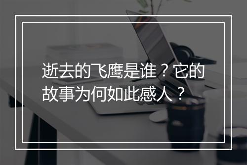 逝去的飞鹰是谁？它的故事为何如此感人？