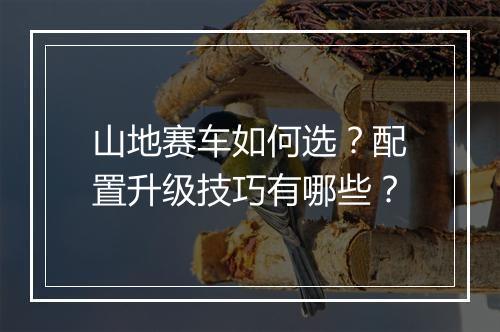 山地赛车如何选?配置升级技巧有哪些?