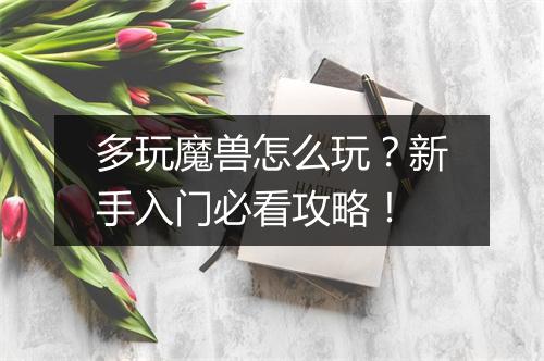 多玩魔兽怎么玩?新手入门必看攻略!