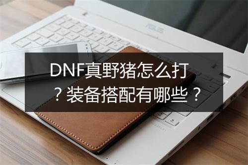 DNF真野猪怎么打？装备搭配有哪些？