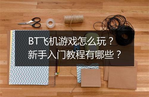 BT飞机游戏怎么玩？新手入门教程有哪些？