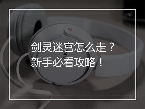 剑灵迷宫怎么走？新手必看攻略！