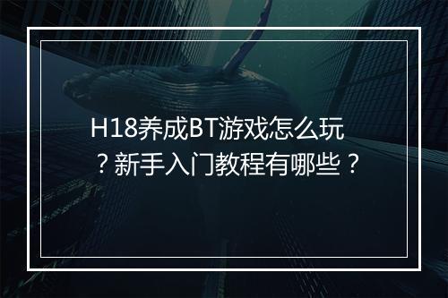 H18养成BT游戏怎么玩？新手入门教程有哪些？