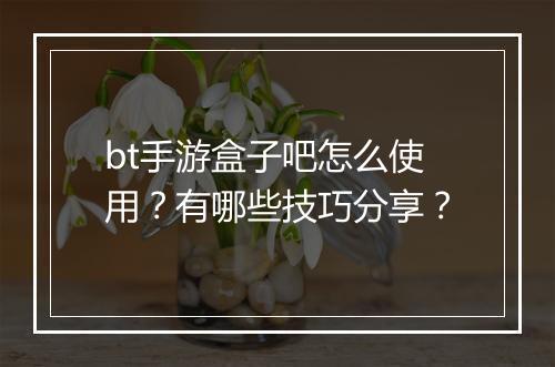 bt手游盒子吧怎么使用？有哪些技巧分享？