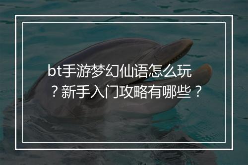 bt手游梦幻仙语怎么玩？新手入门攻略有哪些？