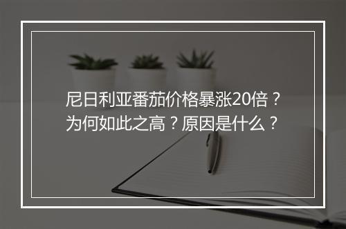 尼日利亚番茄价格暴涨20倍？为何如此之高？原因是什么？