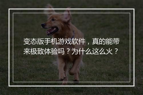 变态版手机游戏软件，真的能带来极致体验吗？为什么这么火？