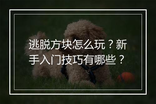 逃脱方块怎么玩?新手入门技巧有哪些?