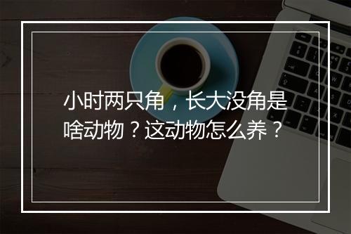 小时两只角，长大没角是啥动物？这动物怎么养？