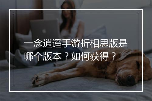 一念逍遥手游折相思版是哪个版本?如何获得?