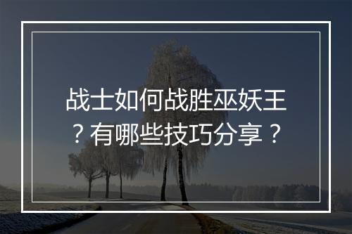 战士如何战胜巫妖王？有哪些技巧分享？