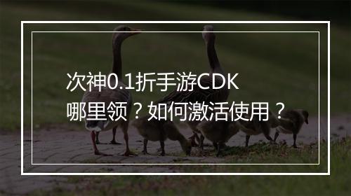 次神0.1折手游CDK哪里领?如何激活使用?