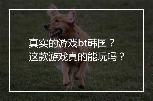 真实的游戏bt韩国？这款游戏真的能玩吗？