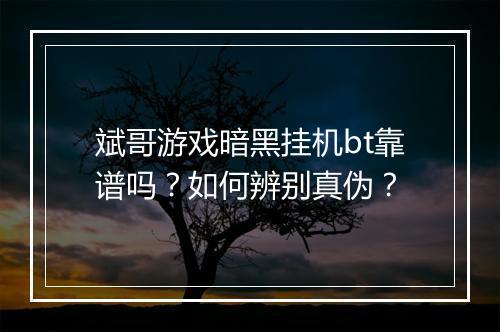 斌哥游戏暗黑挂机bt靠谱吗？如何辨别真伪？