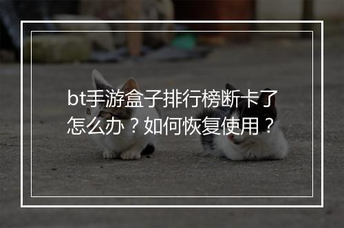 bt手游盒子排行榜断卡了怎么办？如何恢复使用？