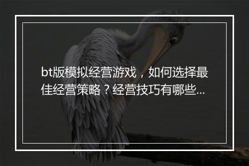bt版模拟经营游戏，如何选择最佳经营策略？经营技巧有哪些？