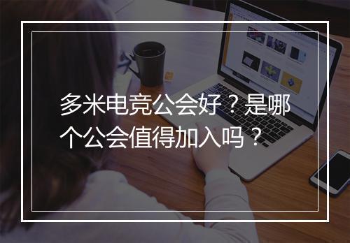 多米电竞公会好？是哪个公会值得加入吗？