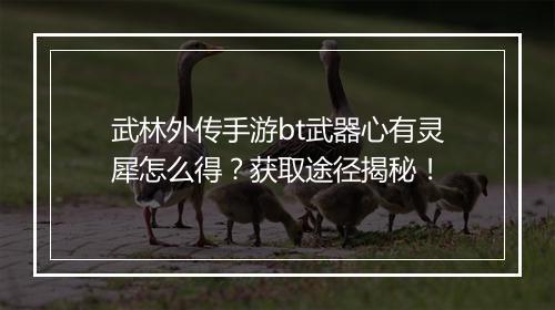 武林外传手游bt武器心有灵犀怎么得?获取途径揭秘!