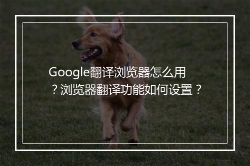 Google翻译浏览器怎么用？浏览器翻译功能如何设置？